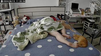 性感肉臀  大学刚毕业 0