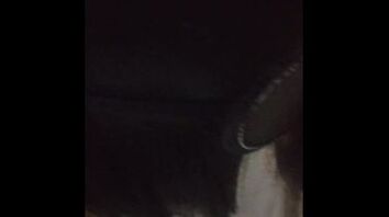 青海m一枚叫声好听