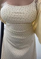 好纠结，退还是不退2