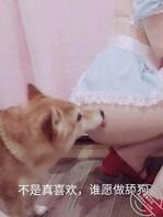 萝莉 白虎 白丝 自慰1