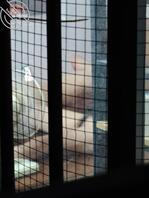 偷看隔壁楼老骚逼0