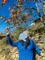 艹妈计划通5，发点骚妈的生活照，各位看看这样的熟母儿子能不艹么？！1