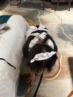 她男朋友怎么也想不到，她在给别的男人口鸡巴哈哈哈0