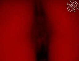 我扛不住回家了,我妈原谅我了0