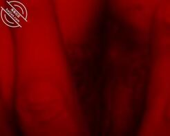 我扛不住回家了,我妈原谅我了1