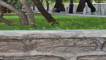 道外江边老头乐