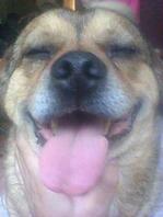 徐州附近找熟女妈妈0