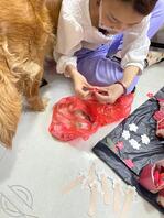 偷拍姐姐的胸 怎么样才能操到姐姐2