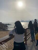 青岛市南小狗，认出可约