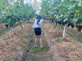 【海角原创】姐姐再穿这身衣服的时候,仿佛又回到去年了,看起来还是那么欠操0