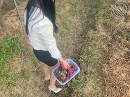 【海角原创】姐姐再穿这身衣服的时候,仿佛又回到去年了,看起来还是那么欠操1