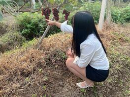 【海角原创】姐姐再穿这身衣服的时候,仿佛又回到去年了,看起来还是那么欠操2