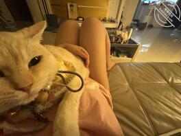 初来乍到，多多关照2