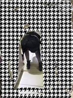 我想操我喜欢的小姨1