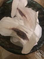 大表姐原创23,和表姐关系突飞猛进,今天表姐张嘴含住了我的小弟,爽死了2