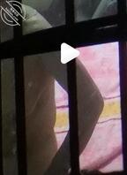 秒射男自己撸硬 插进去四分钟不到就射了 可惜这奶子和屁股了 看的我都急了0