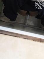 骚逼们2