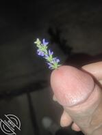 自拍的露出视频0