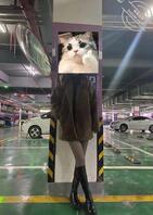 【原创】说说我和姐姐的情况,求指点!1