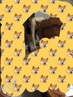 这些天与姑娘相处,内心无比纠结,外加煎熬!0