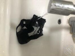 骚姨妈《18》,苦尽甘来,给小姨妈洗内裤,换来的口交射嘴里,你们是对的1