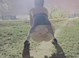 夜晚野外露出小男娘2