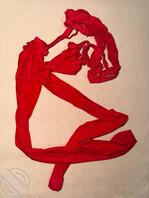 姐姐的红色套装1