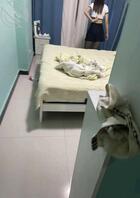 【原创】跟姐姐斗完地主后,姐姐就迫不及待的向我使眼色勾引我跟我做爱2