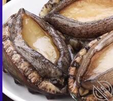 老婆出轨了,做为老公你能怎么办?0