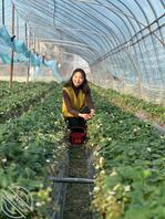 半夜几把硬了，对舅妈打飞机，求文字语言辱骂或脱衣，舅妈母狗刘桂花0