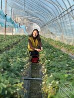 半夜几把硬了，对舅妈打飞机，求文字语言辱骂或脱衣，舅妈母狗刘桂花1