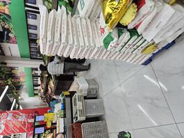 今日战果还是不错的，明天继续！2