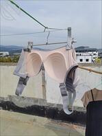 新年，给大家送上大号奶罩，兄弟们多多支持