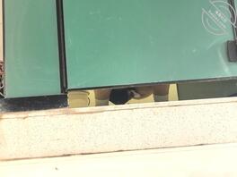 美女少妇本人还挺好看的0