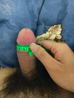 湖北黄梅的，寻少妇或者m，女2