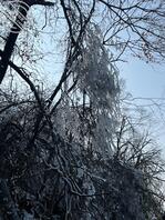 想操大姨子。不知道怎么开口1