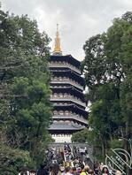 我发现女人都很好骗，我说什么我妈都信0