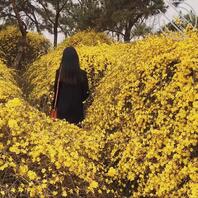 目前在白沟的母狗1