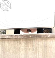 新鲜出炉一系列，因个人原因无法露脸，大家凑合看1