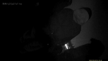 今年庙会猥亵，让你看个爽5～～