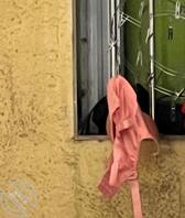 少妇的内衣又出来了2