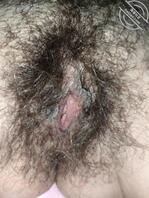 骚逼婶子山海上2