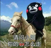 有河池-罗城、宜州的姐姐、少妇或者夫妻吗，单男找炮友0