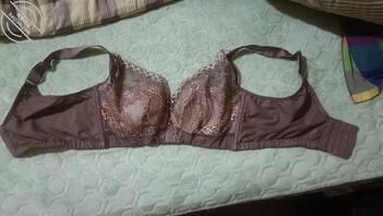 游客少妇的奶罩1