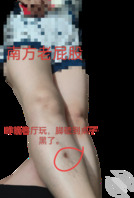 母狗妈妈的白浆0