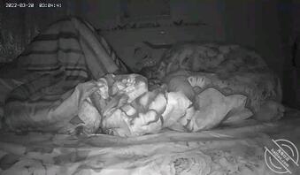 全网第一真实原创:大进展!终于给后妈卧室安上了摄像头!!!(8)1