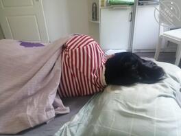 看见《背影》,颇有兴趣,自行改编1