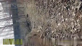 大冷天和学院御姐女友荒废村庄野战