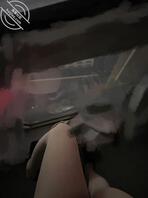 第一次发作品想找位主人 喜欢网调1