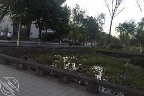 (非原创)乱伦妈妈计划41